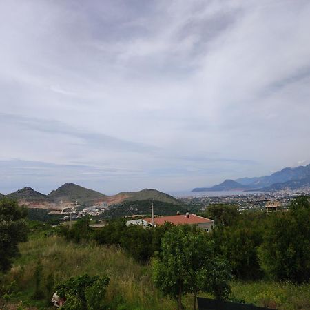 Zelena Maslina Villa บาร์ ภายนอก รูปภาพ